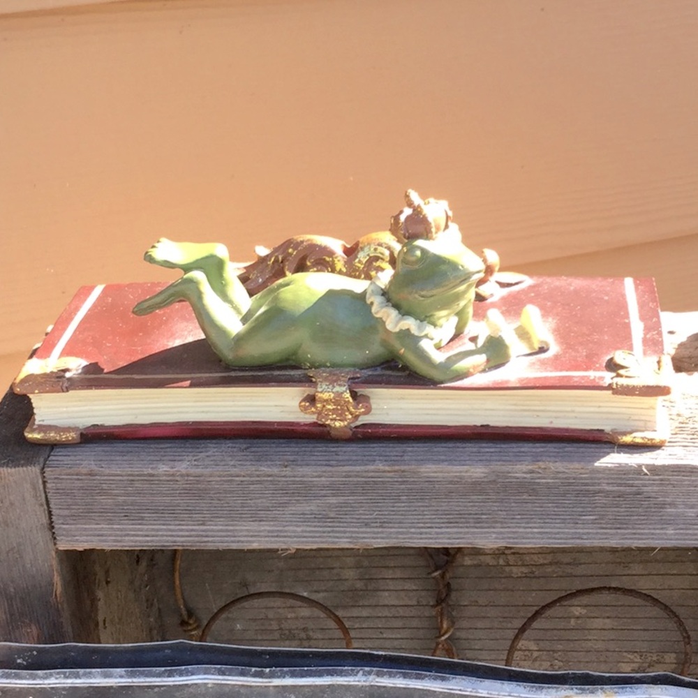 Prince Charming frog book decor bedroom birthday cake topper farmer’s market